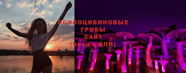СК Ельня