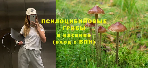 альфа пвп Дмитровск