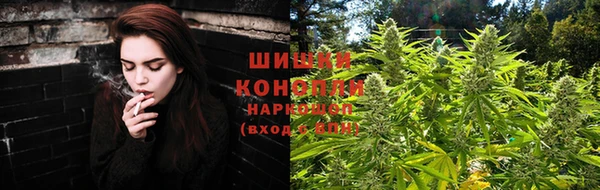 альфа пвп Дмитровск