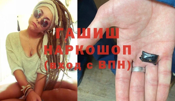 гидра Елизово