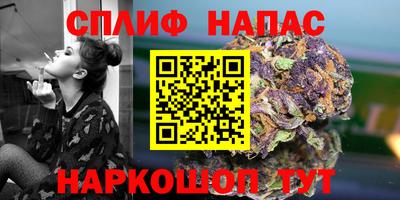 Альфа ПВП Кандалакша