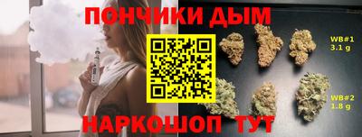 Альфа ПВП Кандалакша