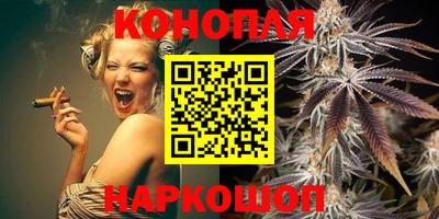 Альфа ПВП Кандалакша