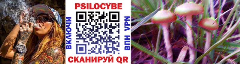 Псилоцибиновые грибы Psilocybe  Рузаевка 